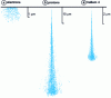 Figure 8 - Comparative paths of electrons, protons and 4-helions in ZrO 2