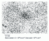 Figure 5 - Traces left in a cellulose nitrate film by α particles emitted by boron atoms present in a metallurgical silicon sample (UMG grade)