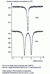 Figure 5 - Mössbauer spectra of 57Fe in Fe (NH3) 6 Cl2 at 295 K and 99 K [3]