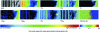 Figure 20 - Cross-sectional ion images of corroded borosilicate glass in the presence of a 18O-enriched solution [35].