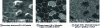 Figure 1 - Auger mapping of a sintered garnet Y3 – x Cux Fe5O12 showing decoration of grain boundaries by copper ( E0 = 15 keV, = 8 nA, instrument PHI 680, acquisition of each Auger image in one minute, i.e. 4 ms/pixel) (after F. Wyczisk, Thales TRT, Palaiseau)