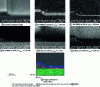 Figure 2 - Auger imaging (x, y) of the Au (200 nm)/Mo (50 nm)/GaN structure of an electronic component (128 × 128 pixels, E0 = 20 keV, = 6 nA, i = 30˚) whose wafer was obtained by using a Ga + ion beam (FIB: 30 keV, normal incidence) (after F. Wyczisk, Thales TRT, Palaiseau). 