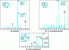 Figure 7 - Examples of mass spectra of aromatic
compounds obtained by electron ionization