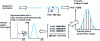 Figure 18 - Sequences to obtain a mass spectrum from the signal emerging from a detector