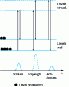 Figure 22 - Raman scattering