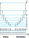 Figure 24 - Rotational Raman spectrum