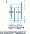 Figure 7 - Rotation-vibration belt