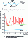 Figure 4 - Comparison of light emission spectra from a storage ring: example of a spectrum produced by an inverter with its various harmonics, a wiggler spectrum and a spectrum produced by a simple magnet with much lower brightness (examples of spectra from ESRF in Grenoble).