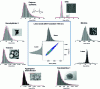 Figure 5 - 3D charge-mass image of latex bead ions obtained by ESI-CDMS in single-pass mode and mass distributions obtained by CDMS technique on various nano-objects, characterized in size and morphology by TEM technique.