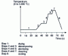 Figure 8 - Example of an electrothermal program in SAAE