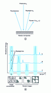 Figure 19 - Raman microprobe and principle of Raman imaging