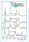 Figure 32 - Control of a multilayer protective film by confocal Raman microspectrometry