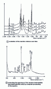 Figure 34 - Kinetic study of the reaction between hydrogen peroxide and benzonitrile