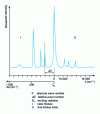 Figure 4 - Raman spectrum