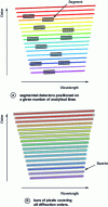 Figure 4 - Schematic diagram (two-dimensional spectrum)