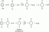 Figure 7 - Hydroquinone oxidation process [3]