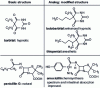 Figure 1 - Analogues with similar or improved activity