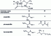 Figure 17 - Ampicillin and precursor esters