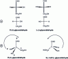 Figure 32 - Representations of glyceraldehyde, according to the Fischer convention (a) and the sequence rule (b)