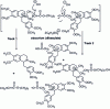 Figure 57 - Atracurium degradation (pathways 1 and 2)