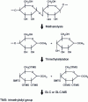 Figure 22 - Methanolysis of oligosaccharides and trimethylsilylation of methylglycosides