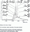 Figure 24 - MALDI-TF-MS analysis of desialylated glycopeptides obtained by proteolysis of a glycoprotein containing 11 different glycans: ▪ N-acetylglucosamine, •: mannose; ▾: galactose; ⋆: fucose. T3: tripeptide