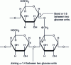 Figure 1 - Starch structure