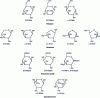 Figure 4 - Main carbohydrates making up hemicelluloses