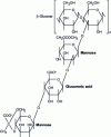 Figure 8 - Chemical structure of xanthan gum