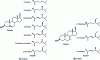 Figure 3 - Formulas for the main Δ5- and Δ7-sterols
