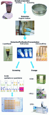 Figure 6 - Principles of mycotoxin analysis