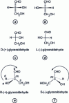 Figure 1 - Representations of glyceraldehyde enantiomers according to Fisher's convention and the sequence rule