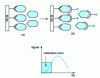 Figure 34 - Hook effect mechanism