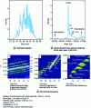 Figure 10 - CZE-MS analysis of erythropoietin (NeoRecormon, Roche, 0.2 mg/mL)[11].