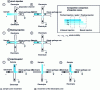 Figure 4 - Schematic diagram of the different injection methods used in on-chip capillary electrophoresis