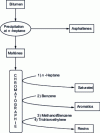 Figure 5 - Separation of bitumen into generic groups [15]