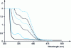 Figure 24 - Evolution of the UV-visible spectrum of a polycarbonate film irradiated with monochromatic light ( λ = 254 nm) in a vacuum (successive curves correspond to 0, 1, 15, 56, 149 and 713 hours of irradiation respectively).