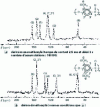 Figure 7 - CP/MAS NMR13C spectra of aromatic polyesters, TMS reference 