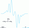 Figure 7 - EPR spectrum of isotactic polypropylene subjected to γ-rays at 77 K