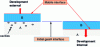 Figure 4 - Two directions in the growth process: internal or external development