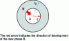 Figure 1 - Cross-section of a spherical particle undergoing transformation