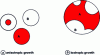 Figure 5 - Illustration of anisotropic and isotropic sprout growth