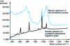 Figure 6 - Raman spectra recorded with a Jobin-Yvon LabRam microspectrometer(© C2RMF, S. Pagès-Camagna).