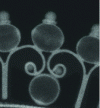 Figure 8 - X-ray of a hollow granule obtained by welding two hemispheres and mounted on a modern square-section wire (© C2RMF, T. Borel).