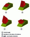 Figure 23 - Visualization of delay laws on a shoe translator