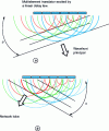 Figure 25 - Principle of network lobe formation