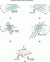 Figure 41 - Principle of network formation and calculation figure