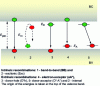 Figure 4 - Intrinsic and extrinsic radiative recombinations [12]