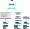 Figure 3 - Generic traceability chain for absolute, stoichiometric and relative methods (from )