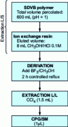 Figure 2 - Global protocol for the analysis of trace organic acids in water (from [24])